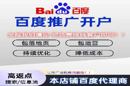 竞价托管服务案例解析